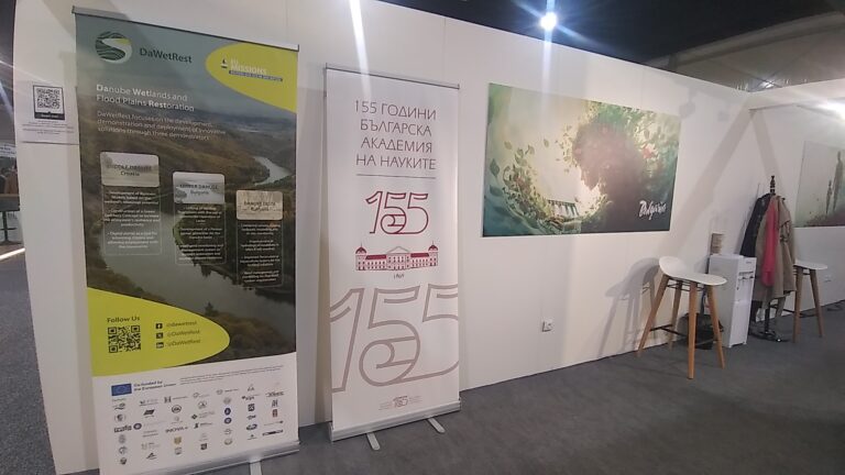 DaWetRest represented at COP29